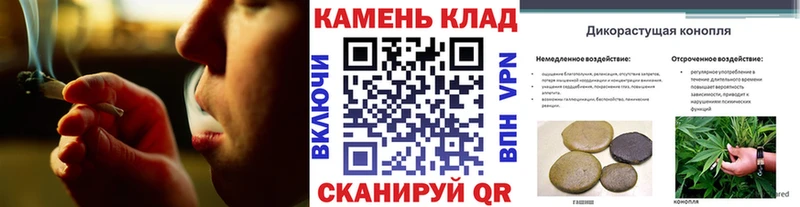 Купить  Палласовка  Гашиш Изолятор 