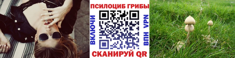 Купить где  Палласовка  Псилоцибиновые грибы Magic Shrooms 